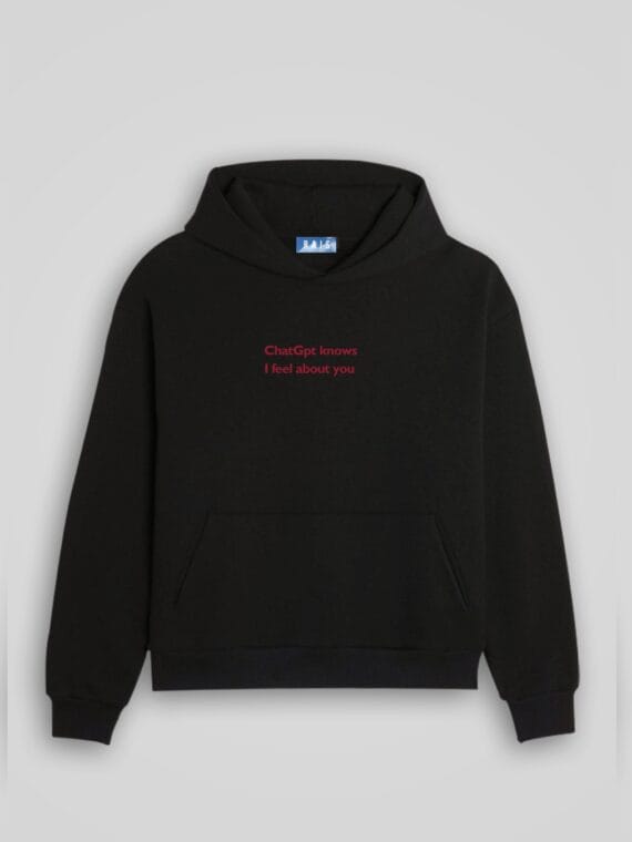Hoodie "ChatGpt Knows I Feel About You" - RAIS DESIGN